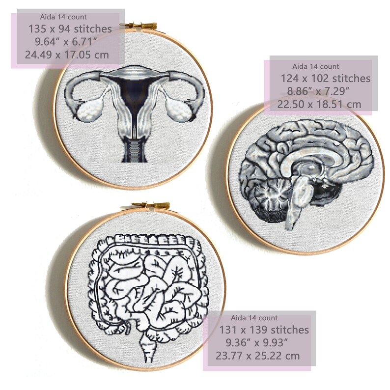 Uterus Cross Stitch Pattern Anatomical Uterus Cross Stitch Etsy Ireland