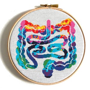 Padrão de ponto cruz divertido sobre anatomia, arte do corpo humano, bordado colorido de intestinos, PDF de ponto cruz científico