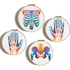 May include: Four embroidery hoops with colorful rainbow x-ray images of a rib cage, hand, and hip bones.