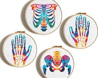 Anatomy cross stitch pattern, Hip Hand and Ribs cross stitch, Funny anatomy cross stitch, Human body embroidery PDF, Instant download