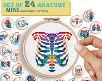 Mini Cross stitch pattern Human anatomy bundle Set of 24 PDF pattern Colorful counted hand embroidery Anatomical heart uterus skull brain
