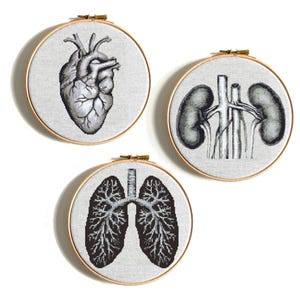 Human anatomy cross stitch pattern PDF, Human Heart Lungs Kidney embroidery art, Body cross stitch, Funny x-stitch, Instant download
