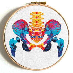 Anatomy cross stitch pattern, Human hip, Body cross stitch, Funny cross stitch, Colorful cross stitch, Hip embroidery, Instant download