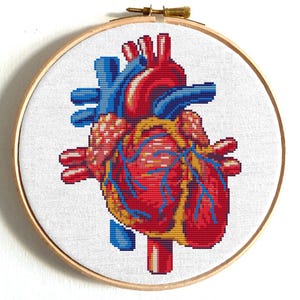 Anatomical heart cross stitch pattern, Human heart embroidery, Anatomy sampler, Human body embroidery, Scary x-stitch PDF