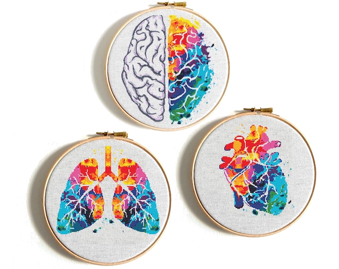 Funny Anatomy Cross Stitch Pattern, Human Body Art, Colorful Intestine ...