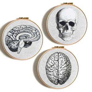 Schedel kruissteekpatroon, hersenkruissteek, grappige anatomie kruissteek, menselijk lichaam borduurwerk, enge kruissteek pdf, directe download