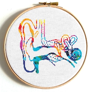 May include: A colorful cross-stitch embroidery of the human ear, featuring a rainbow color scheme. The embroidery is displayed in a wooden embroidery hoop.