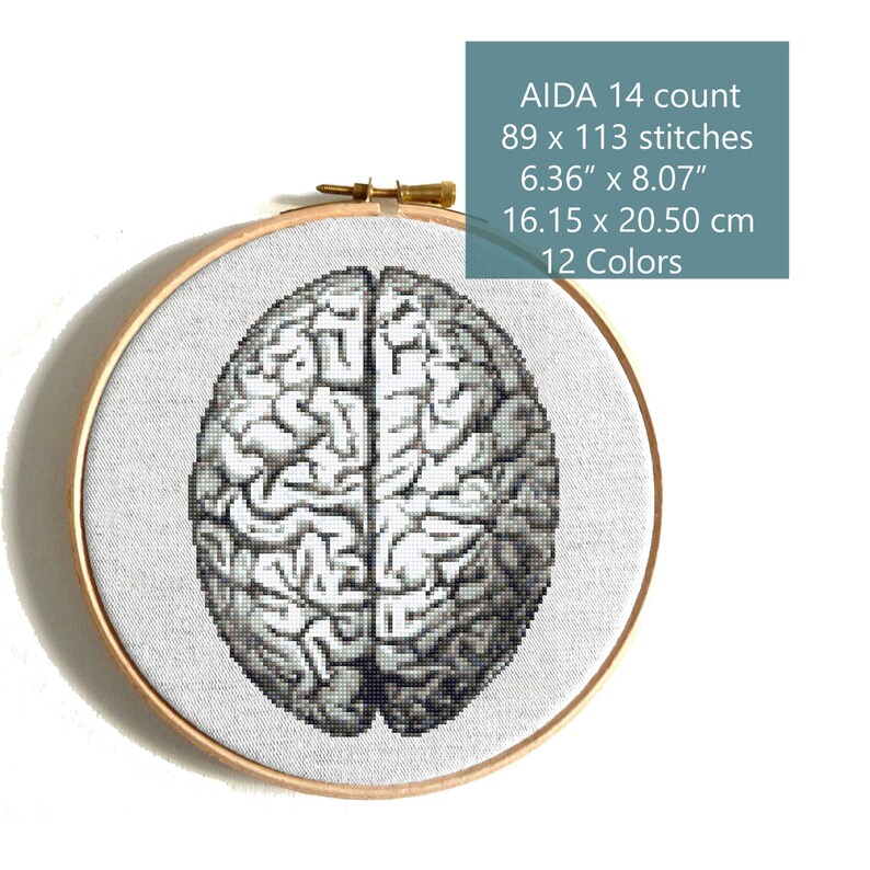 Modern Cross Stitch Pattern Anatomy Cross Stitch Human Brain Etsy