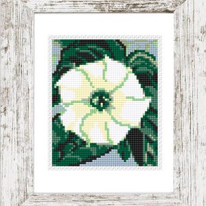 May include: A framed cross-stitch art piece featuring a white and yellow flower with green leaves. The artwork is set against a light blue background and framed in a distressed white wooden frame. The floral design is detailed and vibrant.