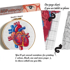 Anatomical heart cross stitch pattern Human Heart embroidery Modern cross stitch anatomy image 3