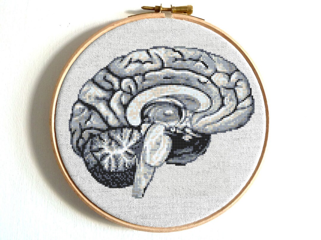 Modern Cross Stitch Pattern PDF Anatomy Human Brain Cross Stitch Easy