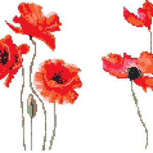 Poppy Cross Stitch Pattern PDF Easy cross stitch Poppies Set 3in1 Modern Embroidery Red poppy cross stitch Floral Natural Art Watercolor image 5