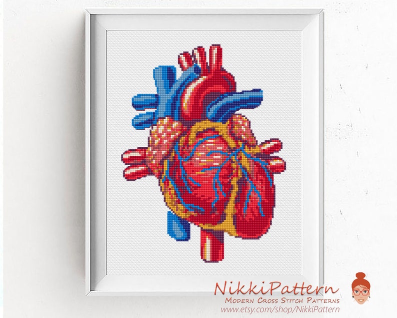 Anatomical heart cross stitch pattern Human Heart embroidery Modern cross stitch anatomy image 7