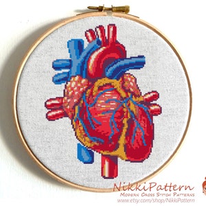 Anatomical heart cross stitch pattern Human Heart embroidery Modern cross stitch anatomy image 5