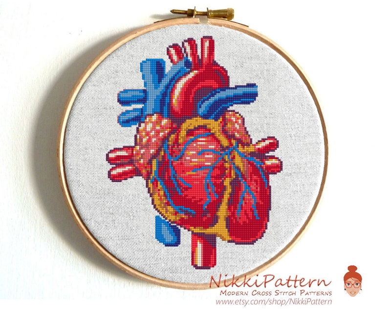 Anatomical heart cross stitch pattern Human Heart embroidery Modern cross stitch anatomy image 5