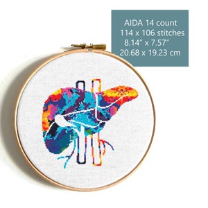 Liver cross stitch pattern Body cross stitch Funny counted cross stitch Modern cross stitch Colorful cross stitch Easy cross stitch PDF