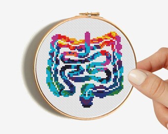 Mini anatomy cross stitch pattern, Colorful intestine, Human organ embroidery, Scary x-stitch PDF, Modern design, Digital instant download
