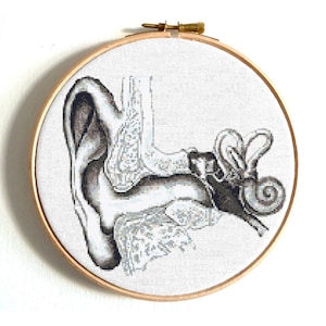 May include: A cross-stitch embroidery of a detailed anatomical illustration of the human ear, with the outer, middle, and inner ear structures visible. The embroidery is framed in a round wooden hoop.