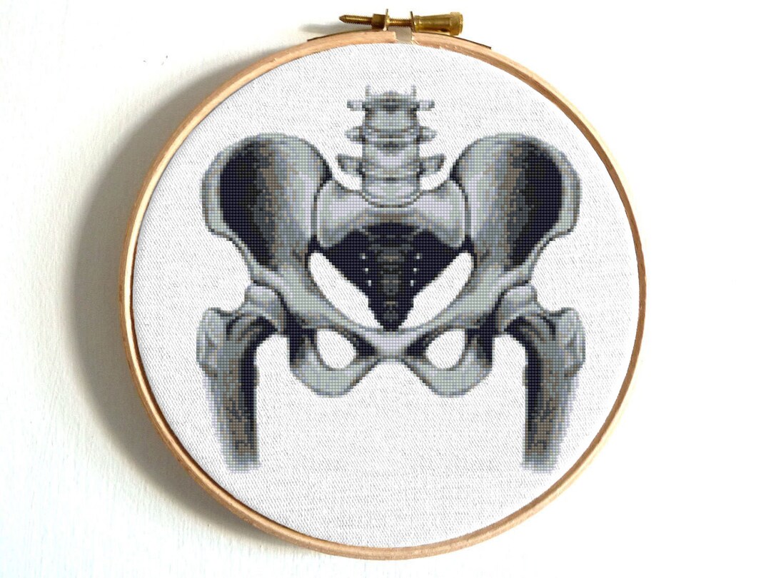 Hip Anatomy Cross Stitch Pattern Body Cross Stitch Modern Funny Cross ...
