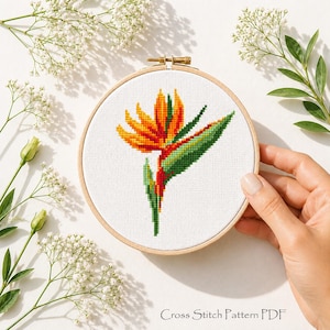 Könnte beinhalten: Eine Kreuzstich-Stickerei einer Paradiesvogelblume in einem Holzreifen. Die Blume ist in orange, gelb, grün und rotem Garn dargestellt. Der Text "Cross Stitch Pattern PDF" steht unten. Ein Hand hält den Reifen.