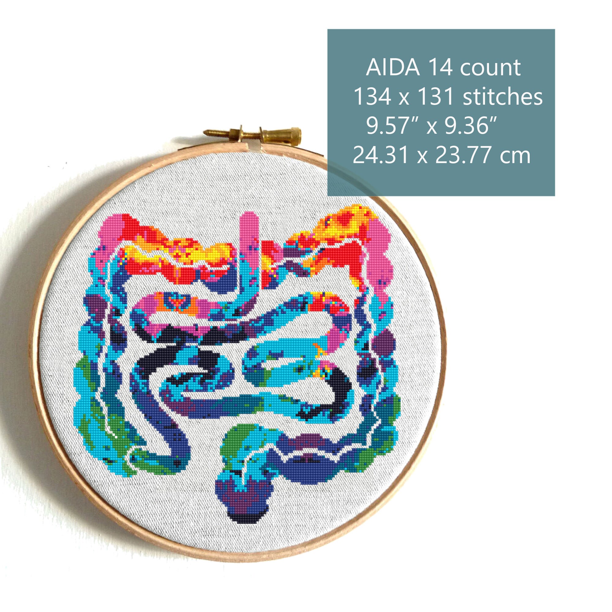 Funny Anatomy Cross Stitch Pattern Human Anatomy Art Intestine | Etsy