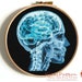 see more listings in the Anatomy section