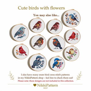 May include: A collection of eleven embroidered bird designs in wooden hoops. Each hoop features a different colorful bird with floral accents. The text "Cute birds with flowers" is at the top. The NikkiPattern shop logo is at the bottom.