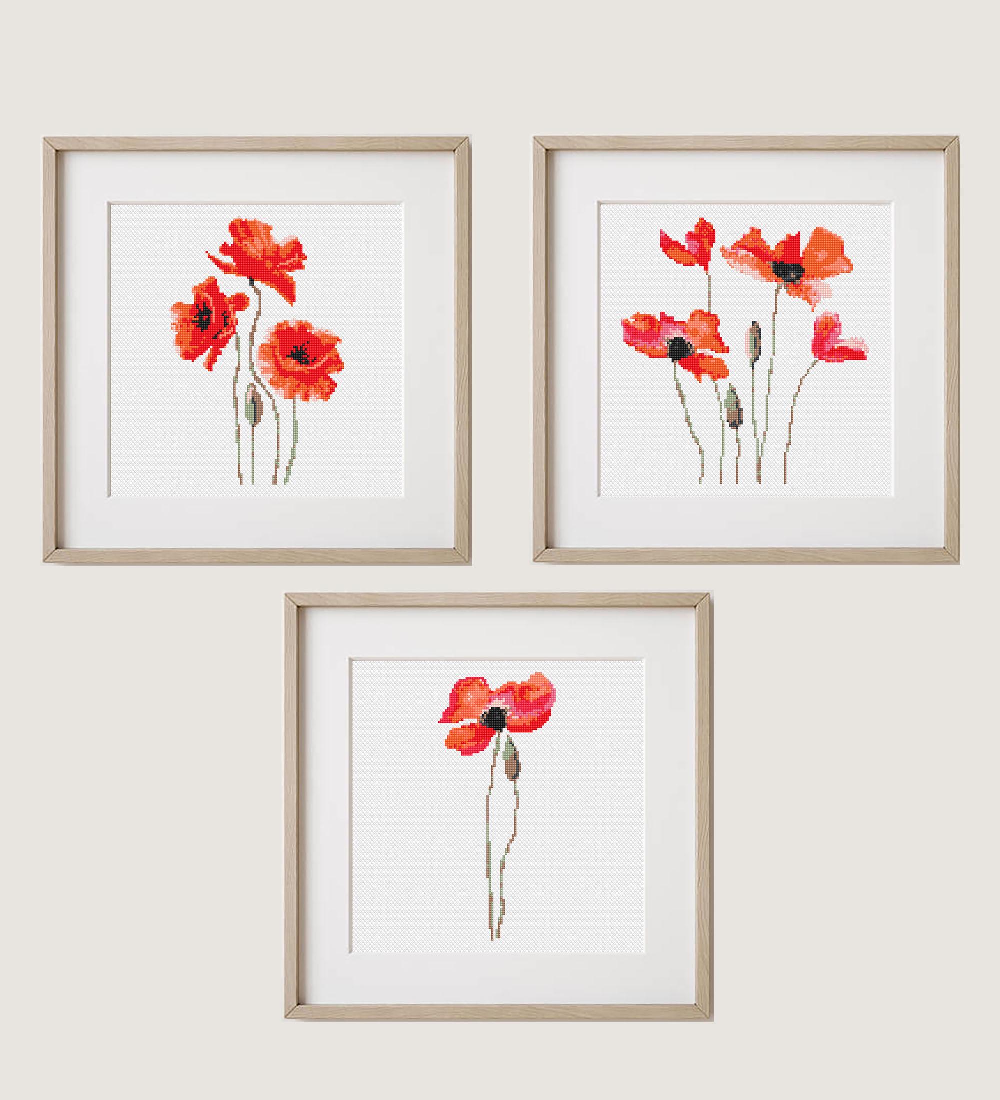 andmary Poppy cotton lace set【品番AM1244】 ANDMARY】Poppy cotton lace set