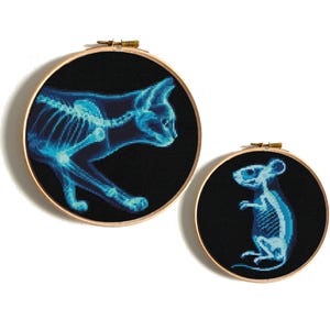 Könnte beinhalten: Zwei Stickrahmen mit Röntgenbildern einer Katze und einer Maus. Die Katze ist blau und weiß, die Maus ist blau. Der Hintergrund ist schwarz.