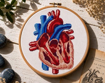 Schema per punto croce a forma di cuore anatomico, ricamo a cuore umano, punto croce anatomico, ricamo a corpo umano, disegno spaventoso, PDF digitale