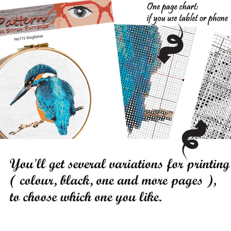 Small bird cross stitch pattern bundle, Robin bird, Kingfishers, Great Tit, cute singing birds counted cross stitch, easy cross stitch PDF image 3