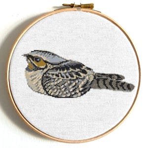 Whippoorwill cross stitch pattern PDF. Cute songbird counted cross stitch, small pattern, easy cross stitch, printable PDF