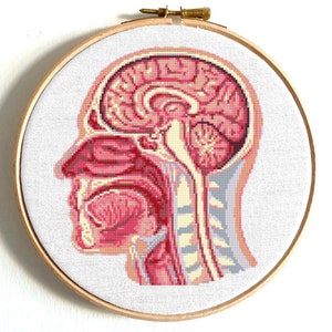 Brain cross stitch pattern Human Anatomy Brain cross stitch Easy cross stitch Human anatomy cross stitch chart Funny Human cross stitch