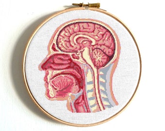 Brain cross stitch pattern Human Anatomy Brain cross stitch Easy cross stitch Human anatomy cross stitch chart Funny Human cross stitch