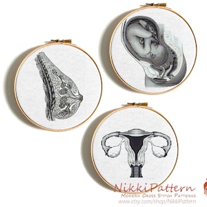 Anatomische Brust Uterus Ovarium Modernes Kreuzstichmuster Menschliche Anatomie Kreuzstich Weibliche Fortpflanzungsorgane Stickerei