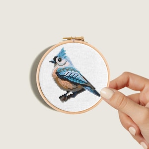 May include: A blue and brown bird cross-stitch embroidery in a wooden hoop. The bird is a tufted titmouse with a blue head and wings, a brown body, and a black eye.