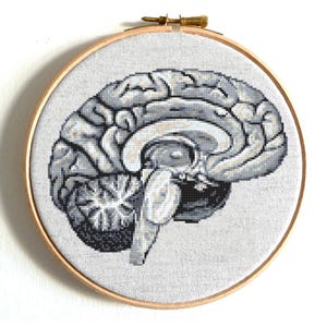 Modern cross stitch pattern PDF, Anatomy human brain cross stitch, Funny cross stitch, Human anatomy cross stitch chart, Human body