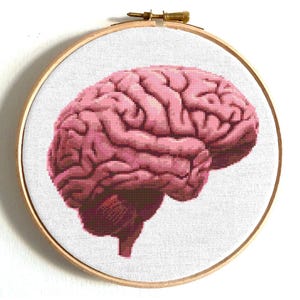 Brain cross stitch pattern, Anatomy cross stitch, Colorful brain, Funny counted cross stitch, Human body, Brain embroidery, Instant download