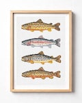 Trout Cross Stitch Pattern PDF | Rainbow Trout | Fish Cross Stitch | Lake Trout Embroidery Pattern product logo
