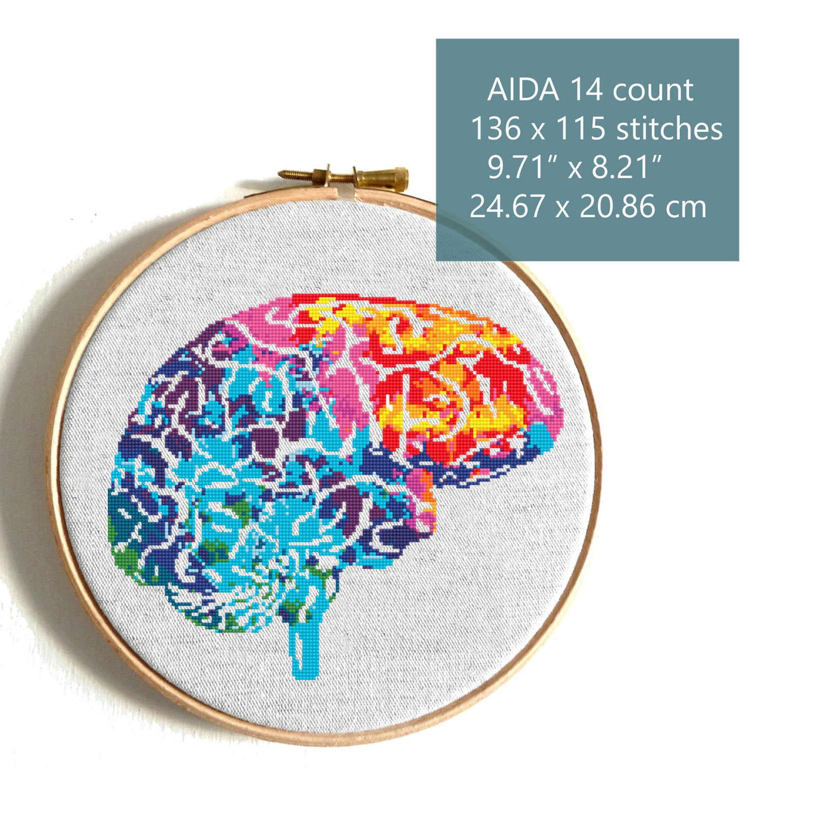 Brain Cross Stitch Pattern Modern Cross Stitch Human Anatomy Etsy
