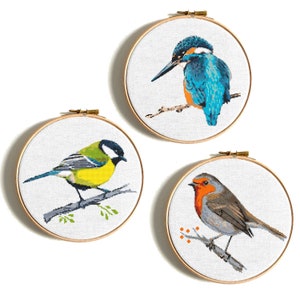 Op de afbeelding: Drie borduurringen met verschillende vogelontwerpen. De eerste ring heeft een blauwe en oranje ijsvogel die op een tak zit. De tweede ring heeft een gele en groene koolmees die op een tak zit. De derde ring heeft een roodborstje die op een tak zit.