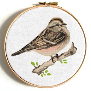 Bird cross stitch pattern PDF, Chipping Sparrow, cute singing bird, counted cross stitch, small, easy cross stitch, PDF digital download
