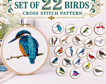 Set of 22 Bird Cross Stitch Patterns, Little Singing Bird Counted embroidery – Beginner pattern, Robin, Kingfisher, Great Tit, Cardinal