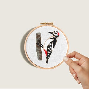Woodpecker cross stitch pattern. Modern bird embroidery, Mini bird cross stitch chart, Counted cross stitch PDF, Instant download