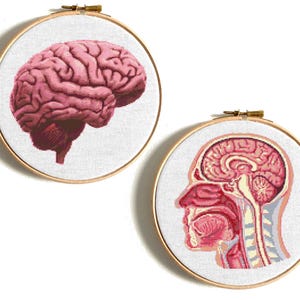 Brain cross stitch pattern, Anatomy cross stitch, Human brain, Funny counted cross stitch, Human body, Brain embroidery, Instant download