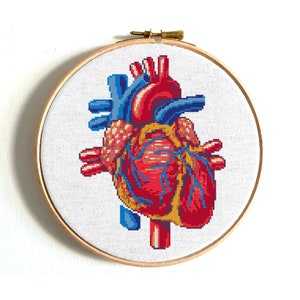 Anatomical heart cross stitch pattern Human Heart embroidery Modern cross stitch anatomy image 1