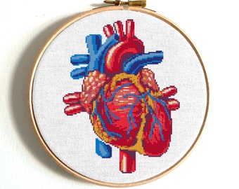 Motif coeur anatomique au point de croix Broderie coeur humain Anatomie moderne au point de croix