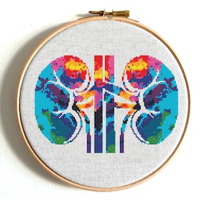 Puede incluir: Un bordado de punto de cruz colorido de un riñón en un aro de madera. El diseño del riñón presenta tonos vibrantes de azul, naranja, amarillo y morado. El fondo es de tela gris claro.