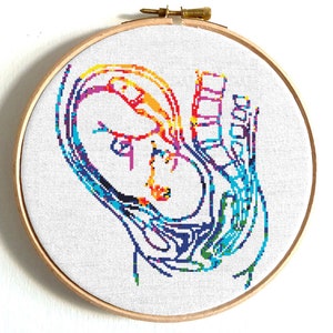 Human anatomy cross stitch pattern Embryo cross stitch Pregnancy Reproductive system Newborn Modern embroidery Instant download PDF