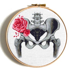 Body cross stitch pattern, Hip bone anatomy embroidery, Funny counted cross stitch, Human skeleton Art, Floral Cross Stitch Instant download